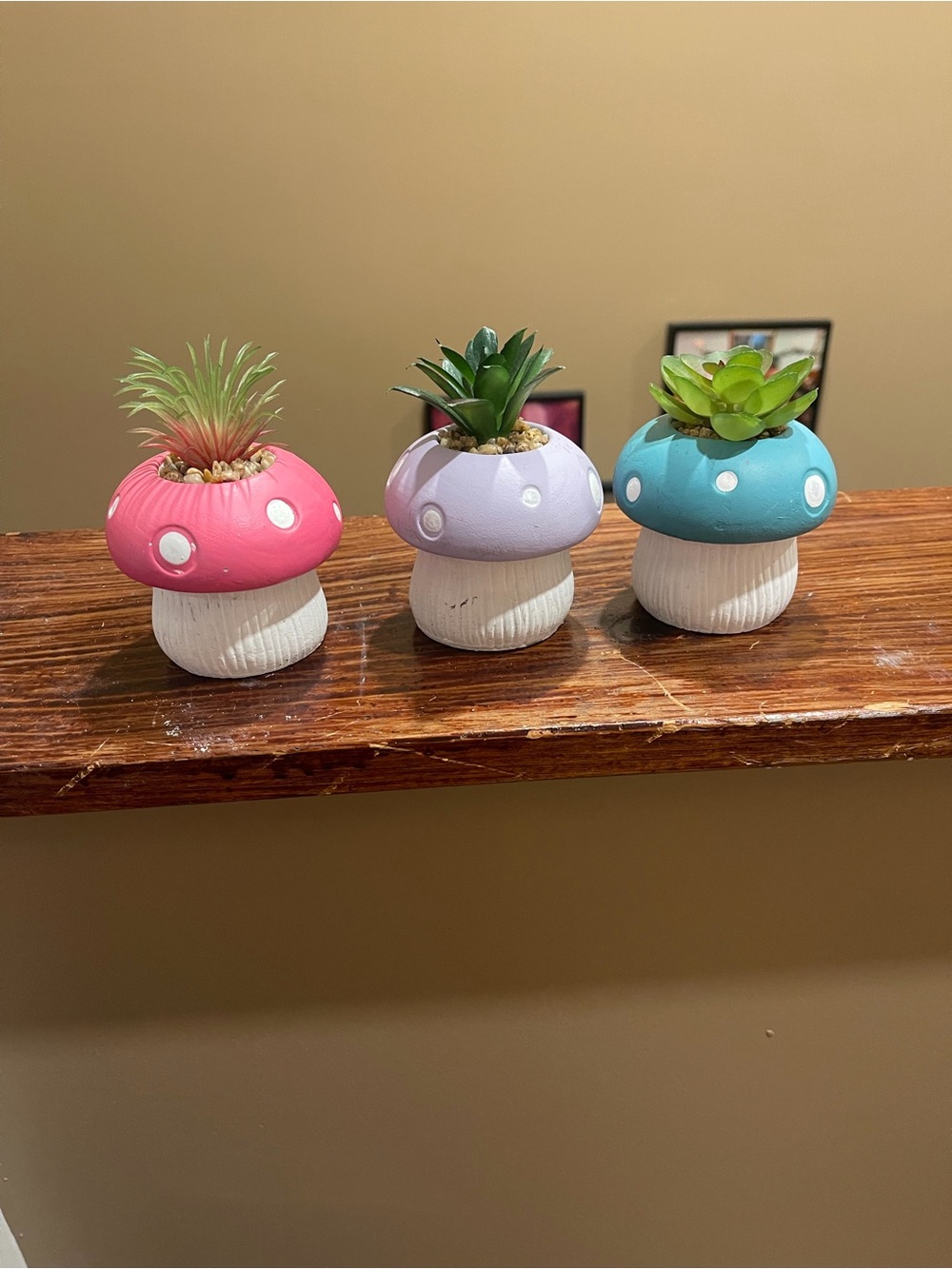 Mushroom Succulent Planter lot - Pink, Lavender, Teal